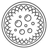 Liposomal