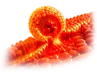 Livraison